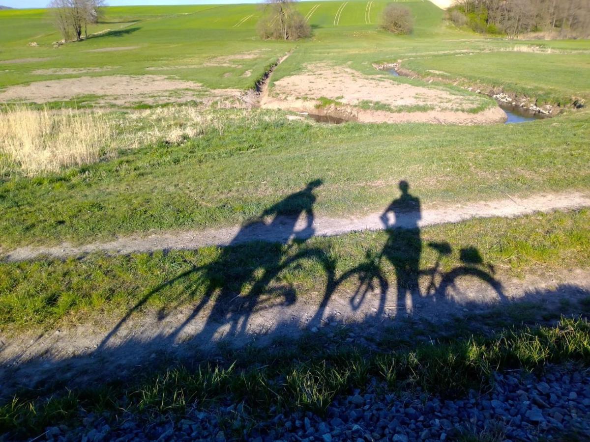 Urlaubspension Die Muehle Schollnach Bagian luar foto